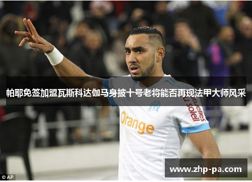 帕耶免签加盟瓦斯科达伽马身披十号老将能否再现法甲大师风采